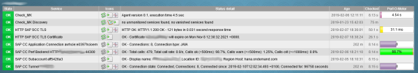 Status output example for the complete monitoring of the SAP Cloud Connector